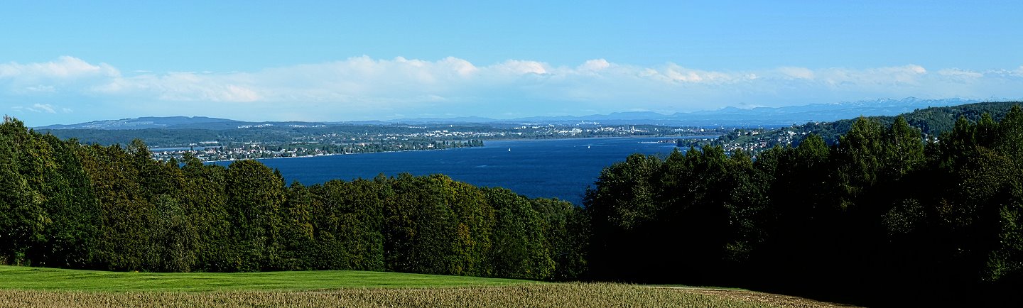 Bild "Alpenblick Bodensee"