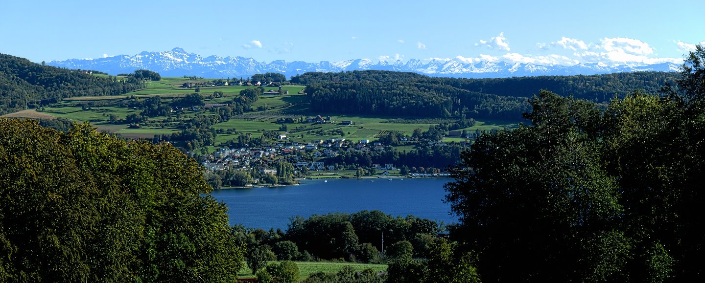 Bild "Bodensee und Säntis von Hemmenhofen aus gesehen. Panasonic Lumix Panorama"