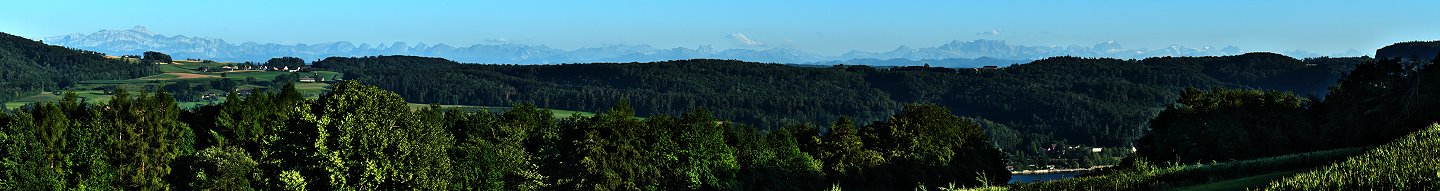 Bild "Panorama Fotografie Bodensee"